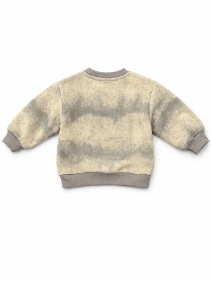 Vintage Wash Graphic Sweatshirt – Beige