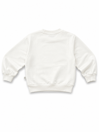 Dream Big Premium Sweatshirt